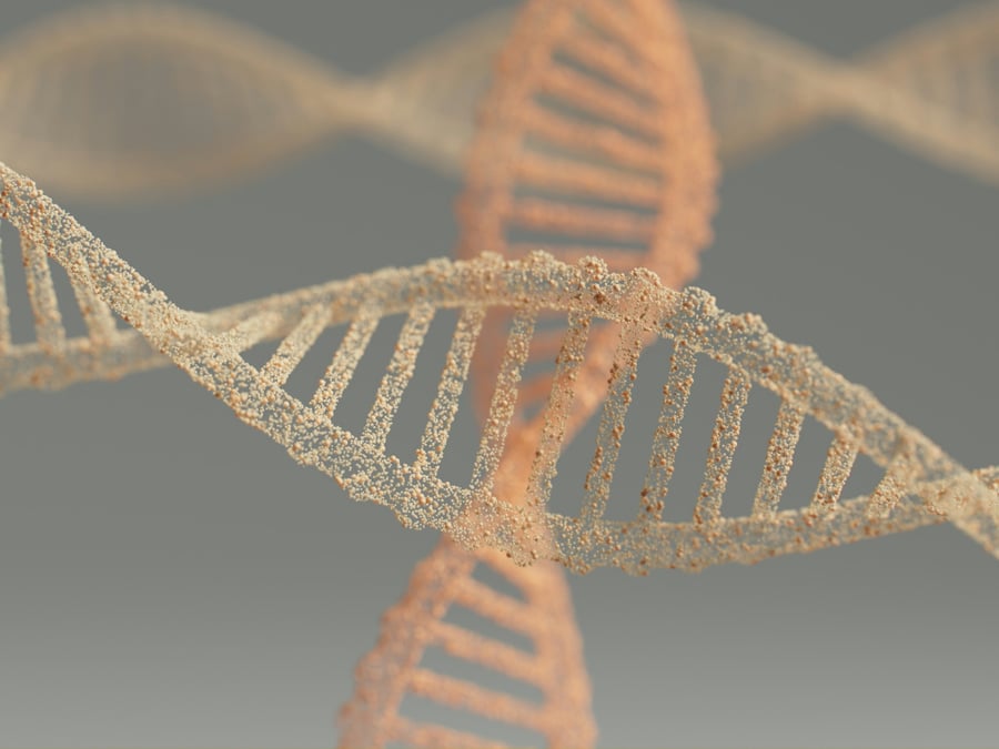 What the Entirely Summit 2025 Revealed About the Future of AI-Ready Marketing