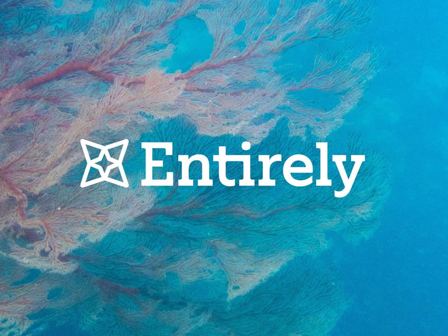 Zero-Party Data and the Composable Marketing Stack: Privacy-First Advantage for CMOs