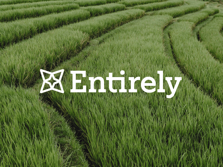 Walled Gardens and Open Ecosystems: The Shift Towards Composability