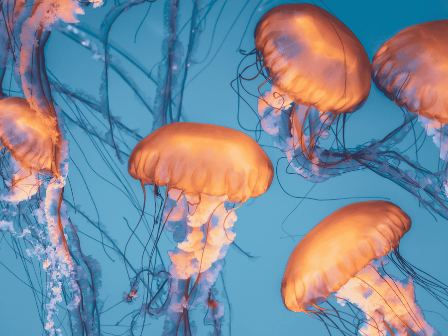 Save the Date: Entirely in Dialogue — Berlin