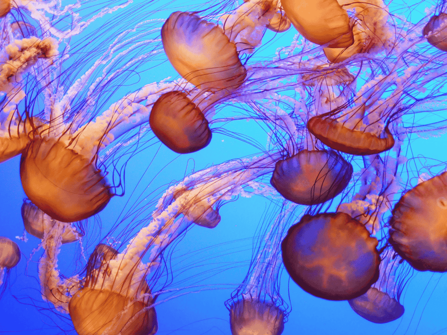 Save the Date: Entirely in Dialogue — Vienna