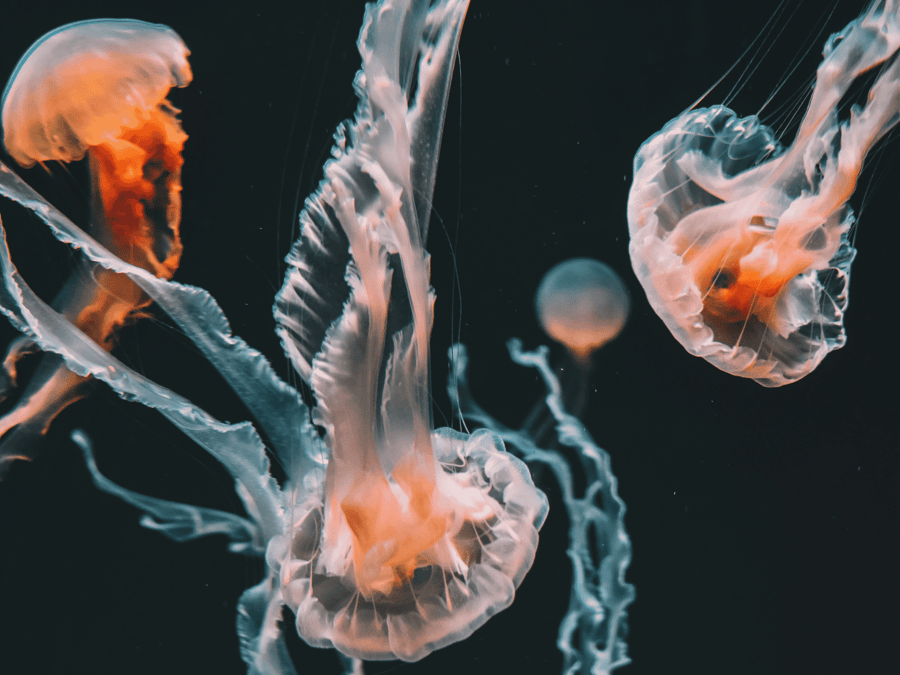 Save the Date: Entirely in Dialogue — Munich