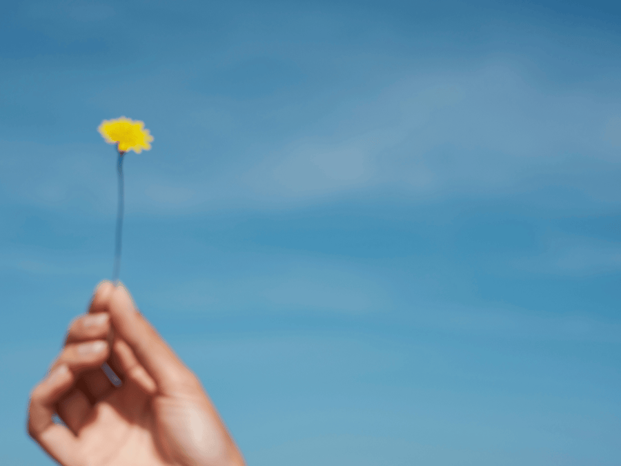 Save the Date: Entirely in Dialogue — Hamburg Rooftop Edition